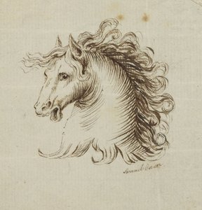 （马头） 作者 塞缪尔·欧文